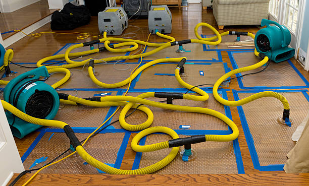 Professional Crawl Space Water Removal technician working in Acton, ME